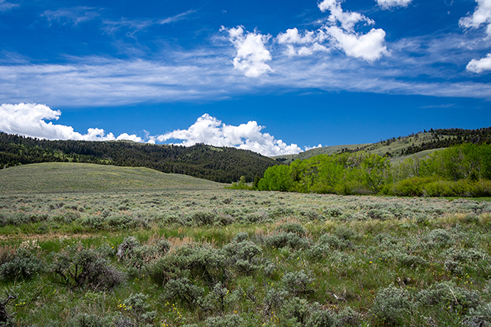 Sauerbier Ranch Conservation Easement Protects 8,000-acres in Madison ...