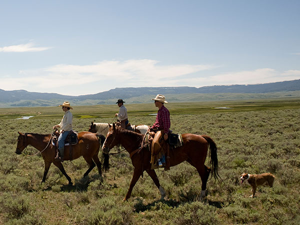Three cowboys on horseback, talking.