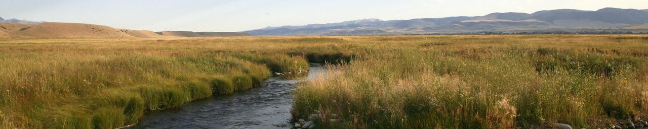 Montana water running through grasslands.
