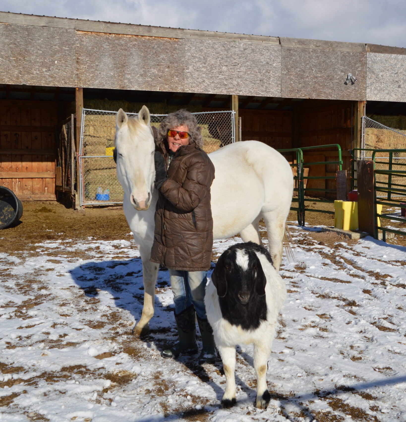 Linda Brander with a horse and goat