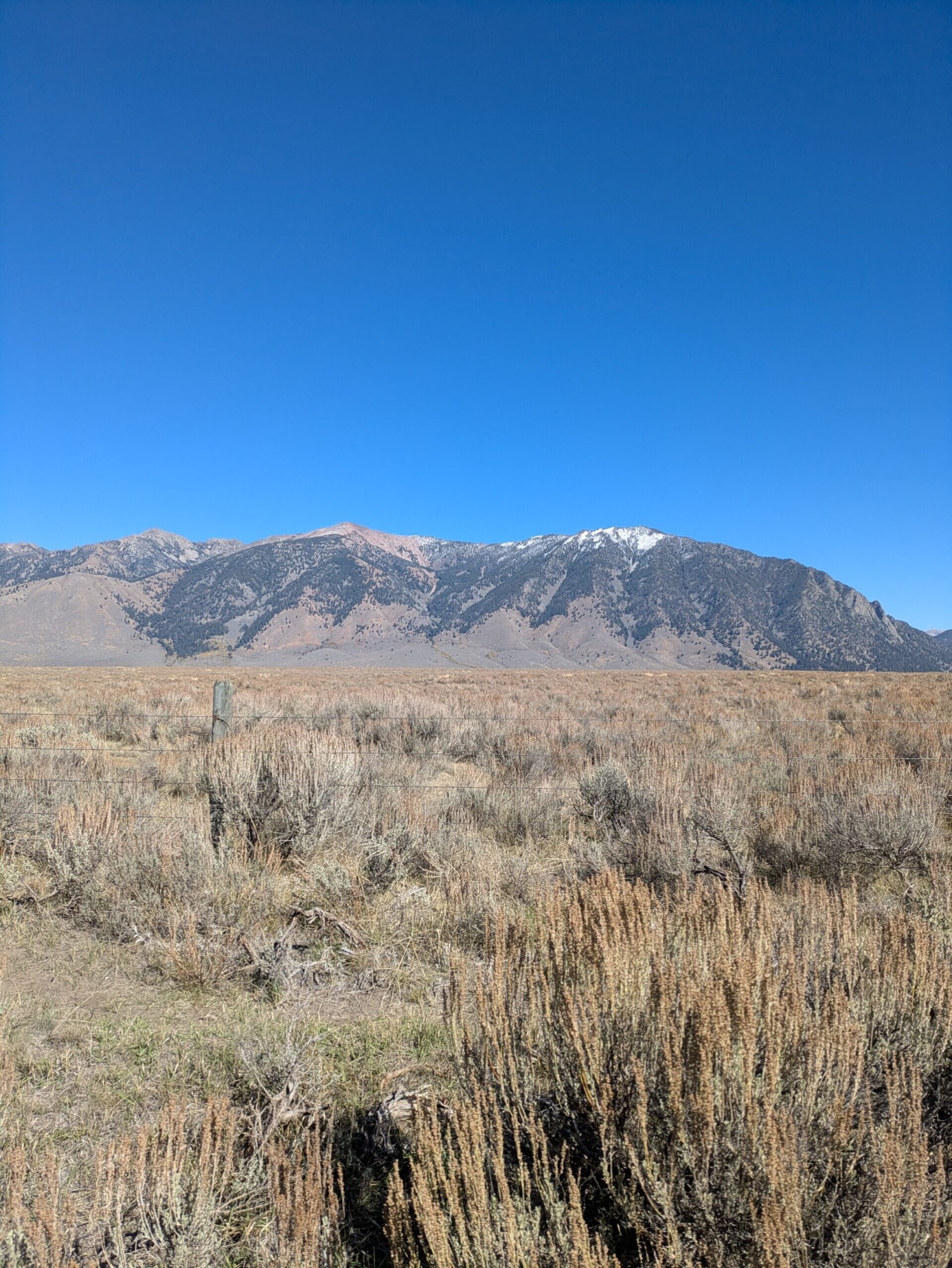Montana bluff in the distance beyond ranchland