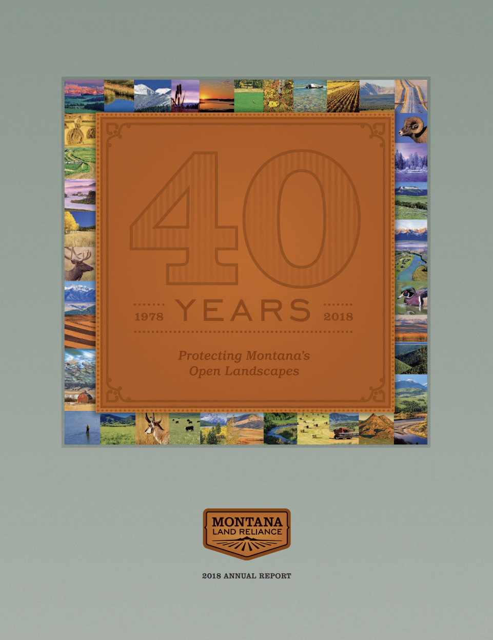 2018 Annual Report Cover
