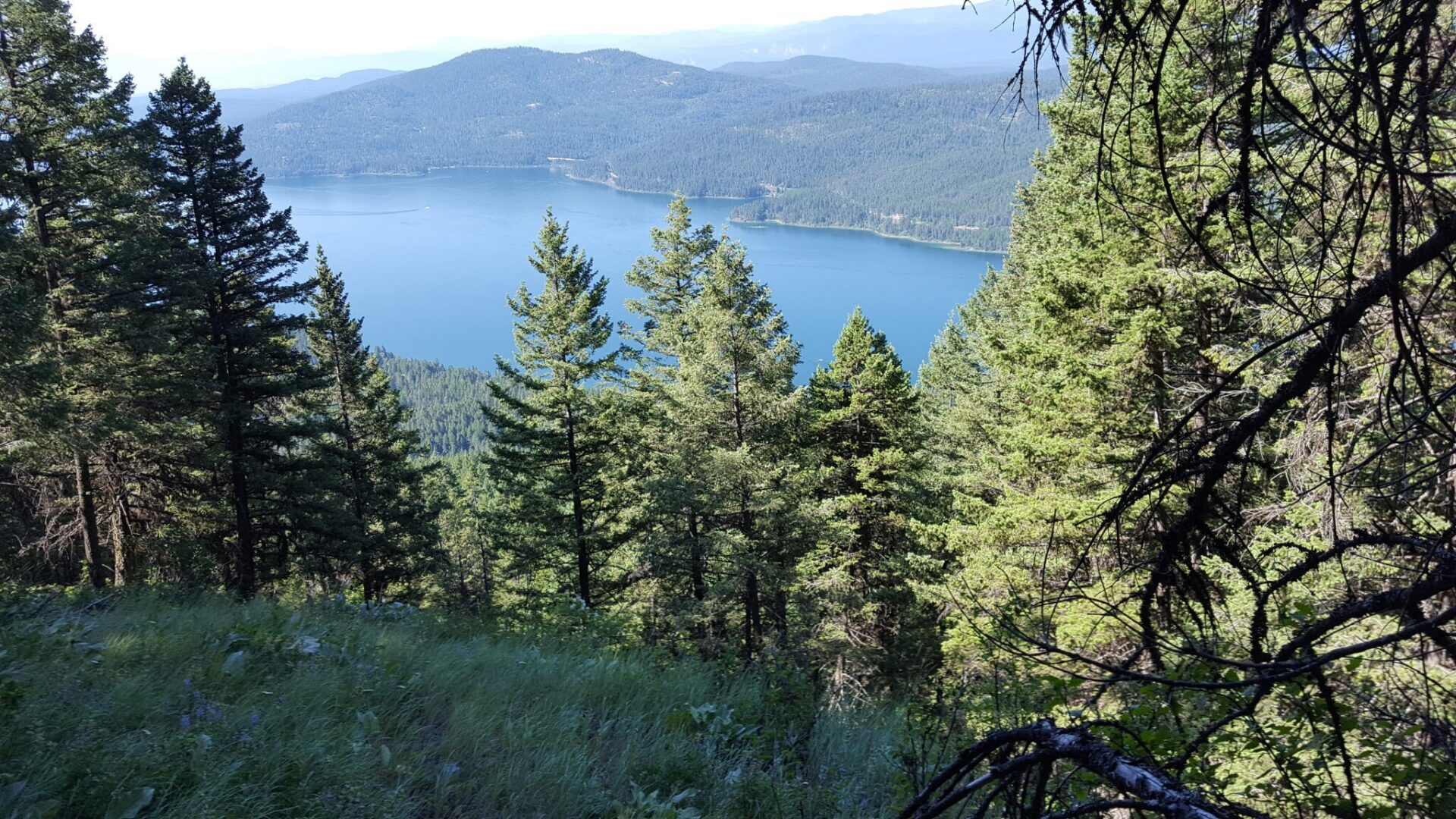 Whitefish Lake