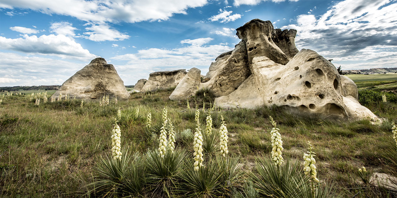 Montana rock formation