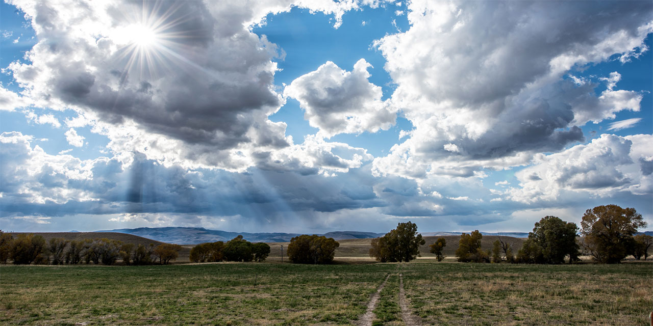 Montana field