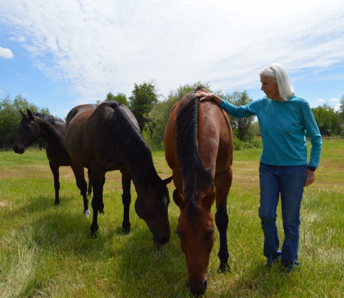 Ruth Lott with three horses
